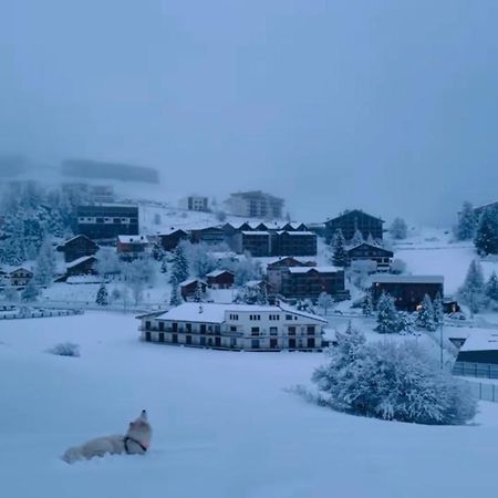 Studio Lumineux Avec Vue Et Acces Sur Les Pistes ! Coup De Coeur 瓦尔堡 外观 照片